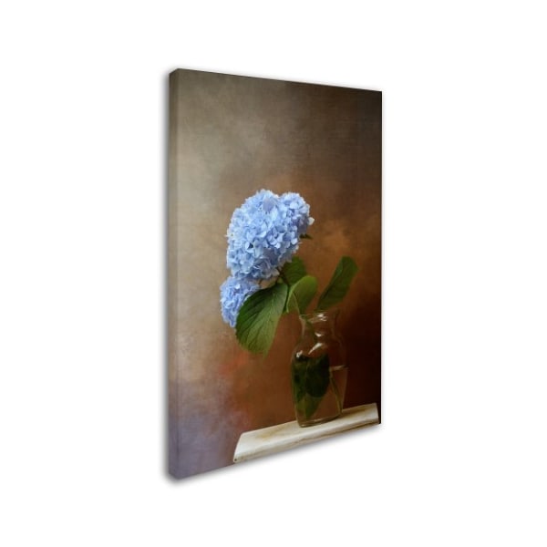 Jai Johnson 'Blue Hydrangea In A Vase' Canvas Art,16x24